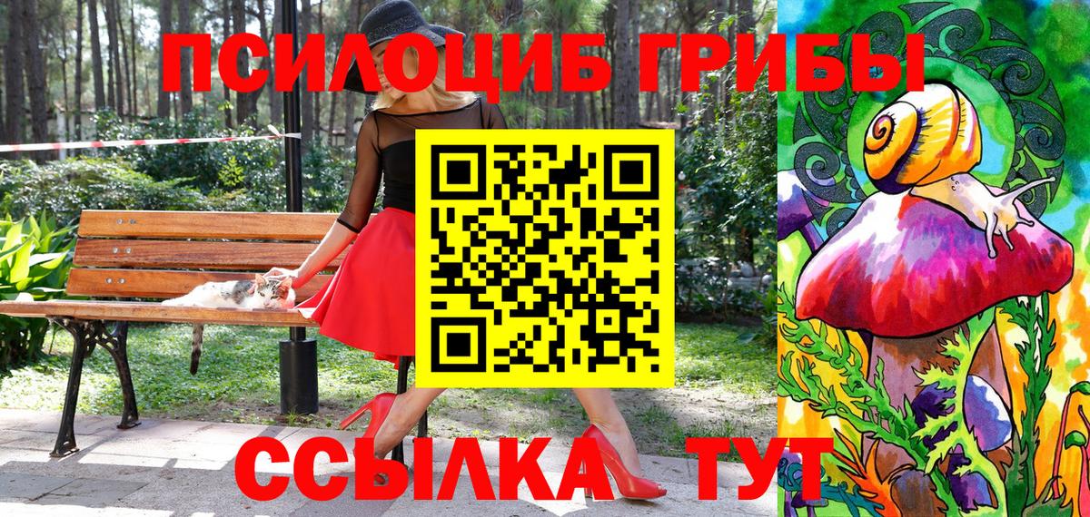Кингисепп  Галлюциногенные грибы GOLDEN TEACHER  Вход с VPN 