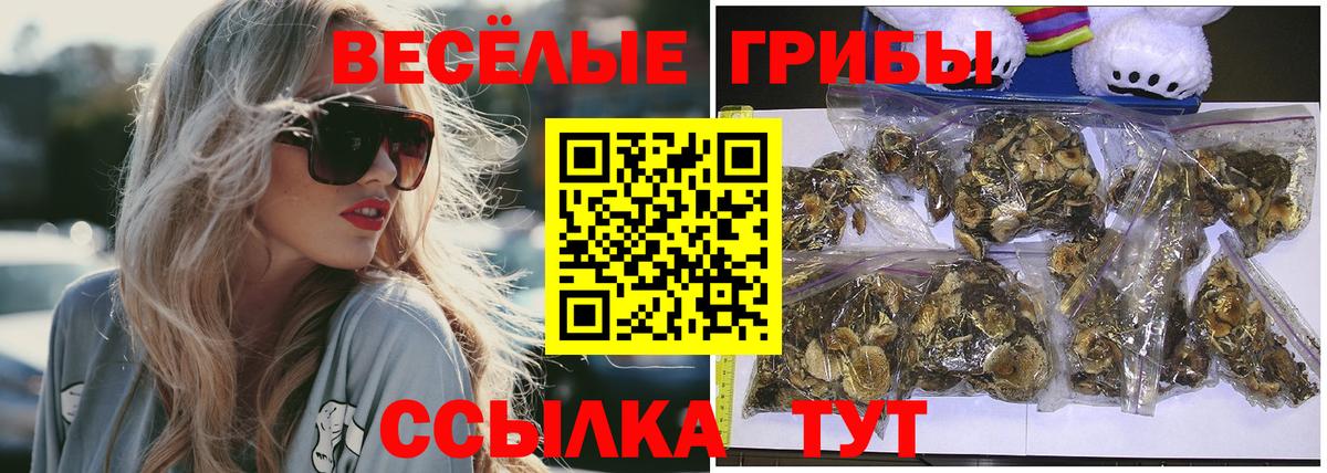 Галлюциногенные грибы прущие грибы Кингисепп